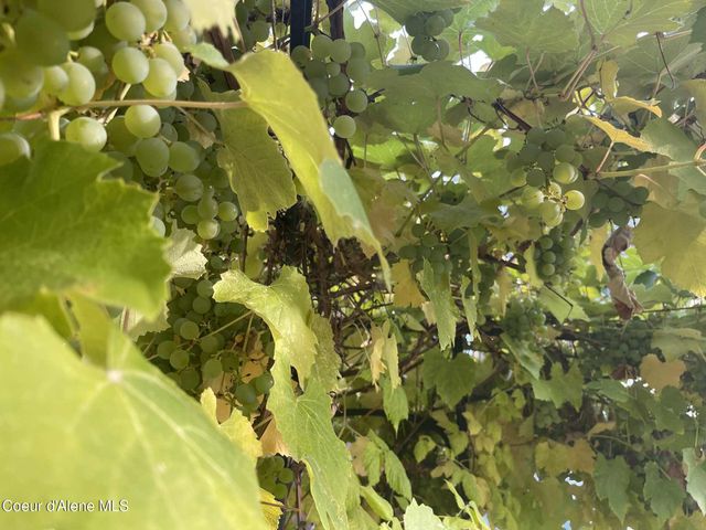 2447 Turner Hill Rd, Bonners Ferry, ID 83805