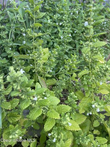 2447 Turner Hill Rd, Bonners Ferry, ID 83805