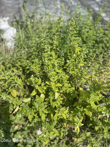 2447 Turner Hill Rd, Bonners Ferry, ID 83805