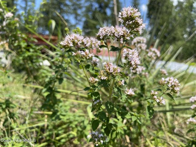 2447 Turner Hill Rd, Bonners Ferry, ID 83805