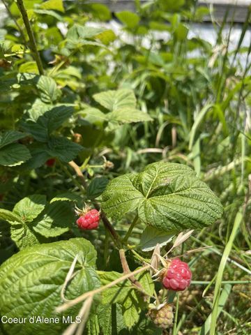 2447 Turner Hill Rd, Bonners Ferry, ID 83805