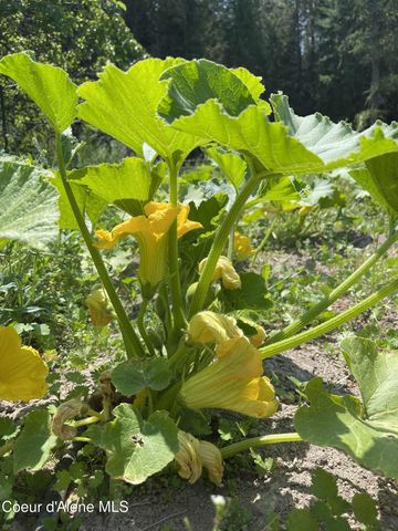 2447 Turner Hill Rd, Bonners Ferry, ID 83805