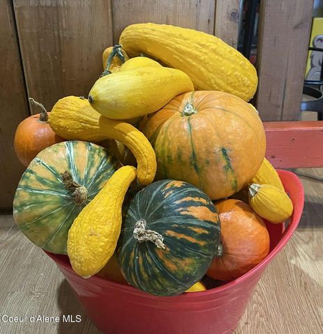 2447 Turner Hill Rd, Bonners Ferry, ID 83805