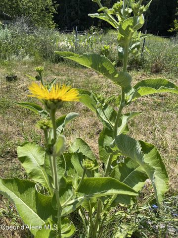 2447 Turner Hill Rd, Bonners Ferry, ID 83805