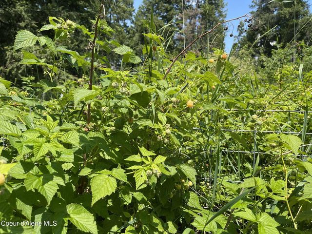 2447 Turner Hill Rd, Bonners Ferry, ID 83805