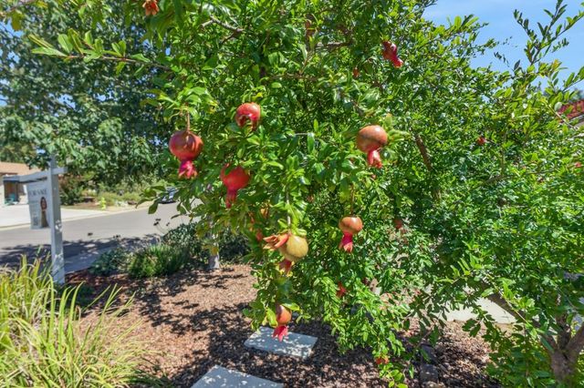 1185 Weber Way, Sacramento, CA 95822
