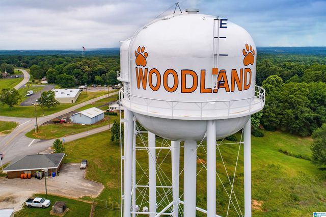 16 WOODLAND DRIVE, Woodland, AL 36280