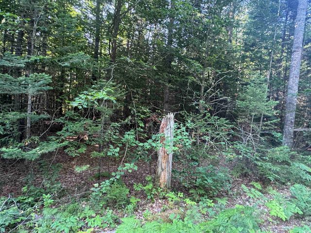 5 John Hodsdon Road, Ossipee, NH 03864