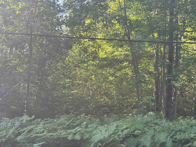 5 John Hodsdon Road, Ossipee, NH 03864