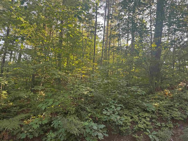 5 John Hodsdon Road, Ossipee, NH 03864