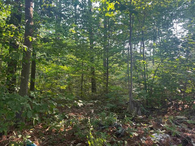 5 John Hodsdon Road, Ossipee, NH 03864