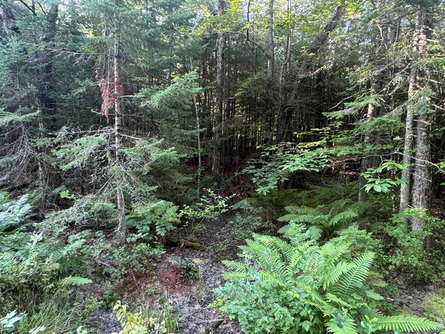 5 John Hodsdon Road, Ossipee, NH 03864