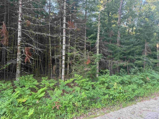 5 John Hodsdon Road, Ossipee, NH 03864