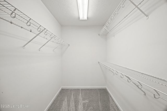 6202 Apple Cider Dr, Louisville, KY 40219