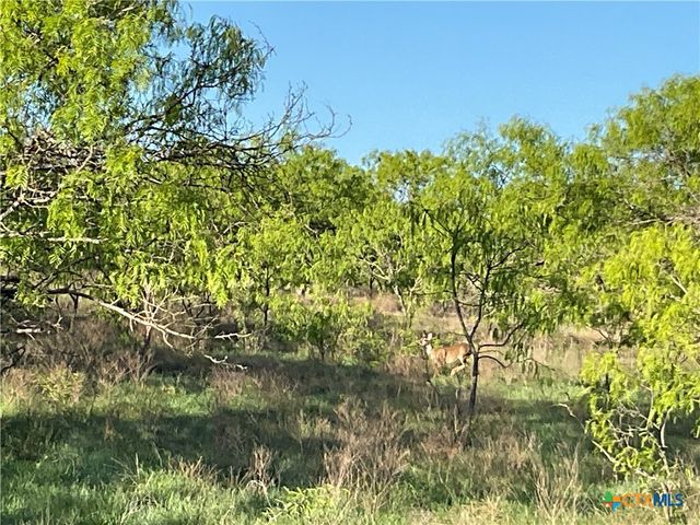 850 Kellogg Road, Copperas Cove, TX 76522