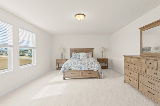 313 Lucca Drive, Summerville, SC 29486