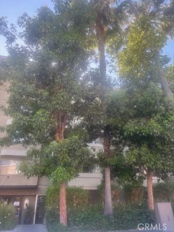 345 S Alexandria, Los Angeles, CA 90020