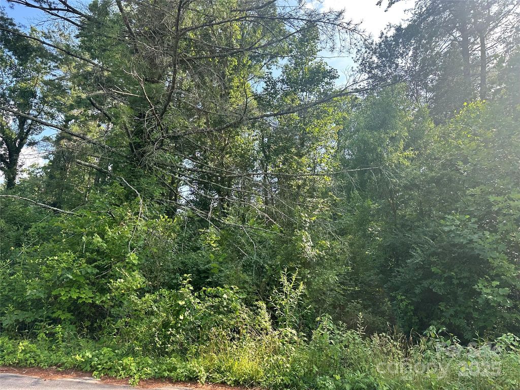 Lot 133 Brandon Road, Hendersonville, NC 28739