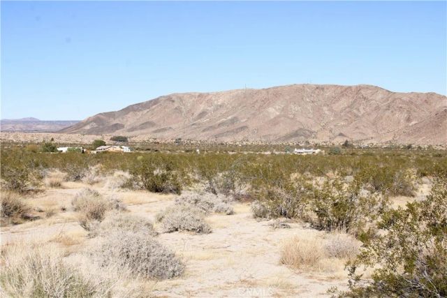 61308104 Dorth, 29 Palms, CA 92277