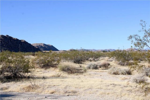 61308104 Dorth, 29 Palms, CA 92277