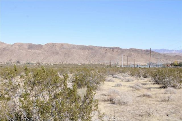 61308104 Dorth, 29 Palms, CA 92277