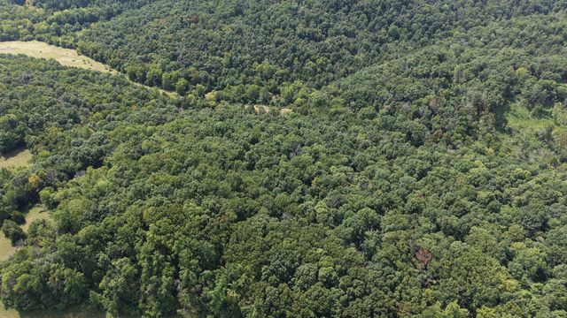 121 Madden Private Ln, Bethpage, TN 37022