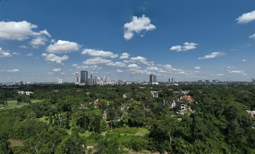 102 Asbury Street 1003, Houston, TX 77007