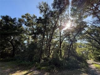 XX SE 35TH COURT, Summerfield, FL 34491