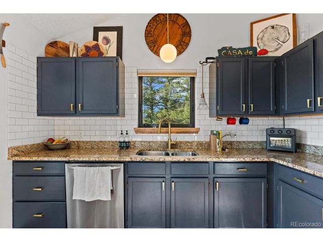 129 Silver Springs Rd, Bailey, CO 80421