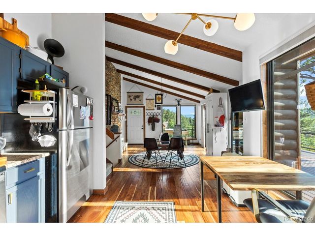 129 Silver Springs Rd, Bailey, CO 80421