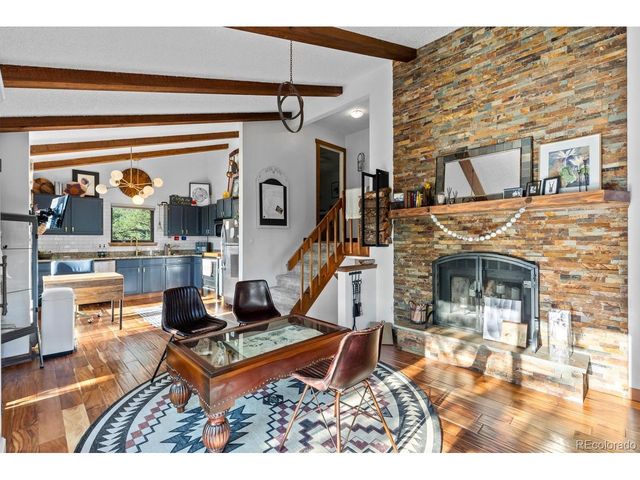 129 Silver Springs Rd, Bailey, CO 80421