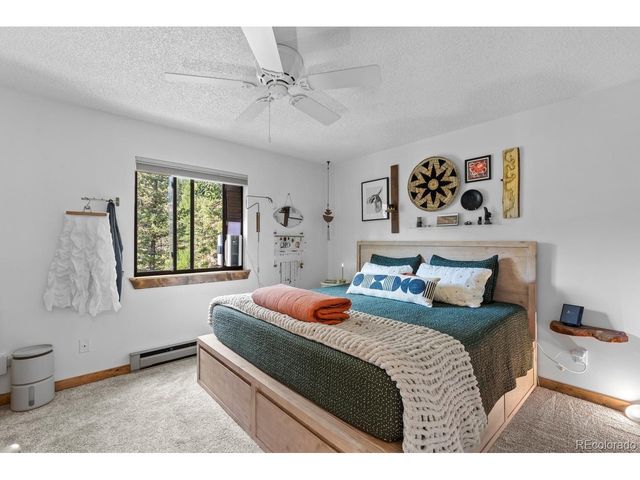 129 Silver Springs Rd, Bailey, CO 80421