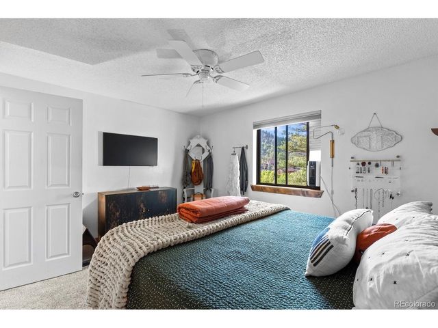 129 Silver Springs Rd, Bailey, CO 80421