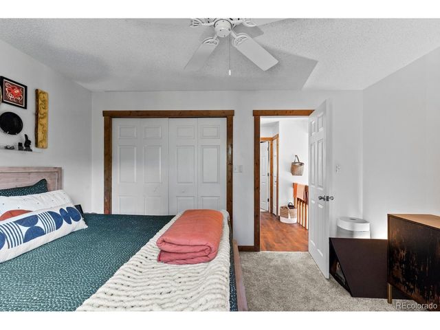 129 Silver Springs Rd, Bailey, CO 80421