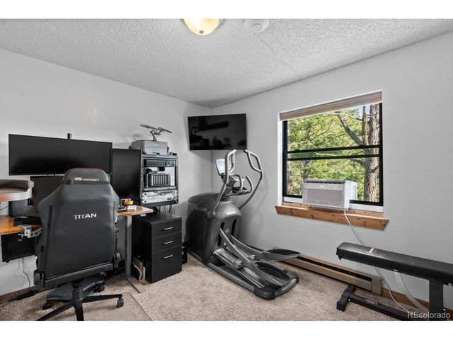 129 Silver Springs Rd, Bailey, CO 80421