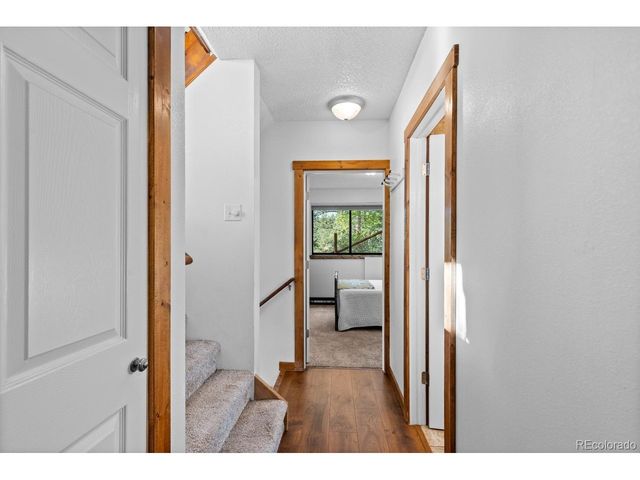129 Silver Springs Rd, Bailey, CO 80421