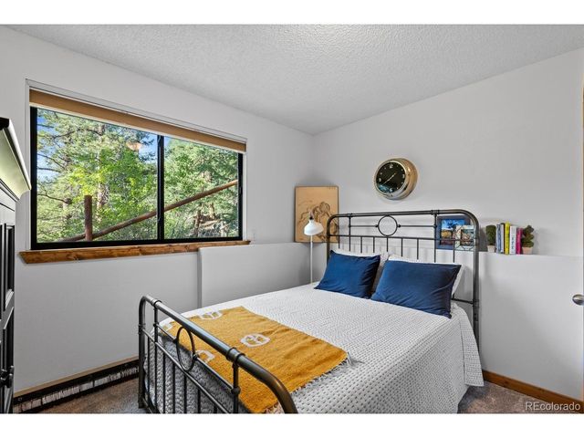 129 Silver Springs Rd, Bailey, CO 80421