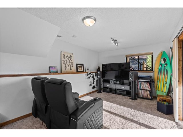 129 Silver Springs Rd, Bailey, CO 80421