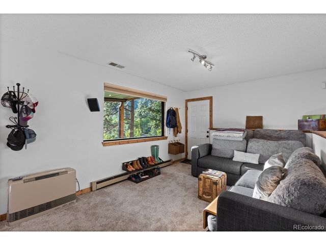 129 Silver Springs Rd, Bailey, CO 80421
