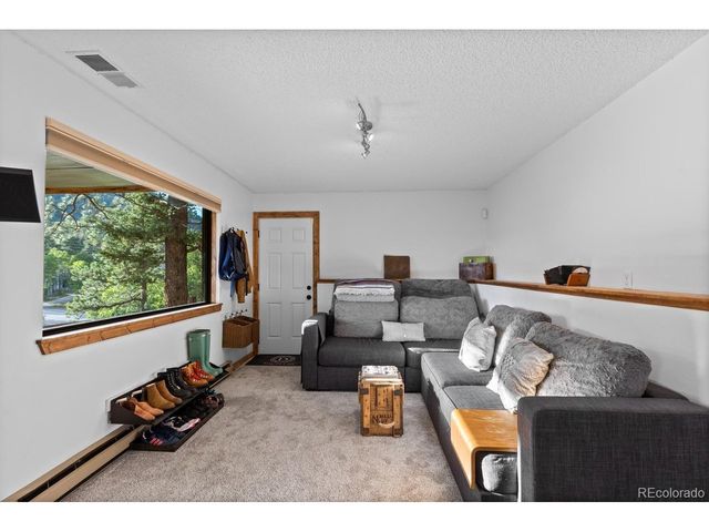 129 Silver Springs Rd, Bailey, CO 80421