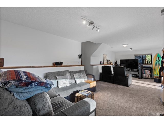 129 Silver Springs Rd, Bailey, CO 80421