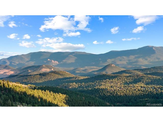 129 Silver Springs Rd, Bailey, CO 80421