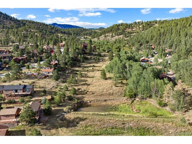 129 Silver Springs Rd, Bailey, CO 80421