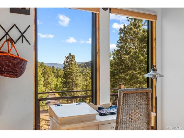 129 Silver Springs Rd, Bailey, CO 80421