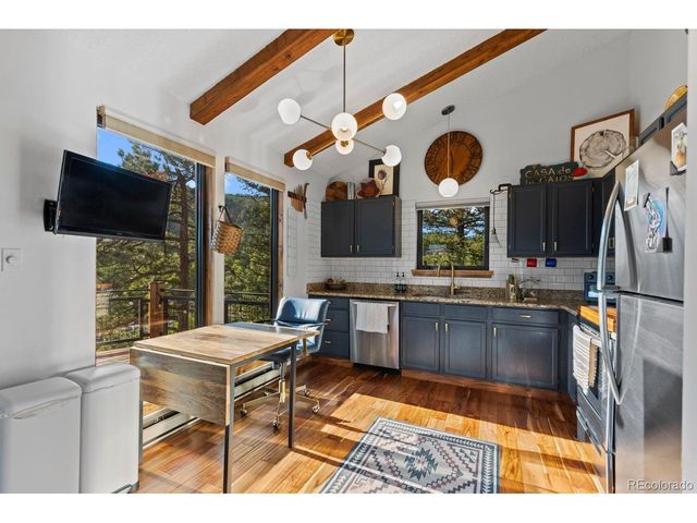 129 Silver Springs Rd, Bailey, CO 80421