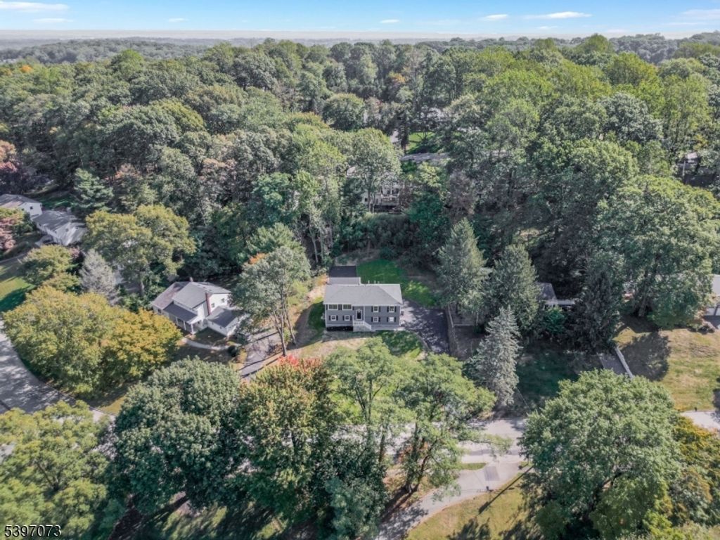 9 Dorothy Dr, Morris Twp., NJ 07960