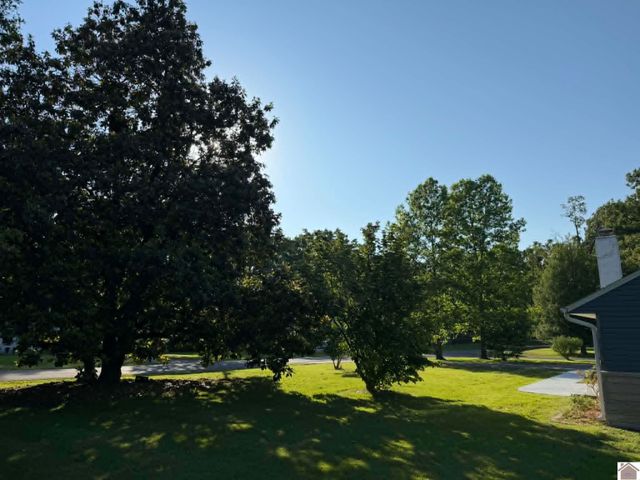 308 Minerva Place, Paducah, KY 42001