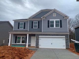 1072 Flat Coat Lane, Chapin, SC 29036