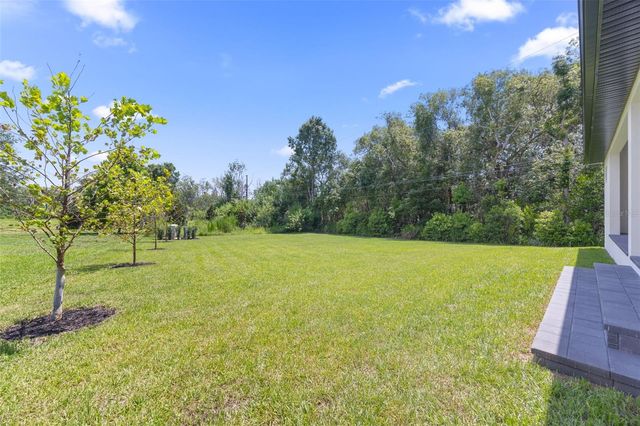 1336 HAYS ROAD, Tarpon Springs, FL 34689