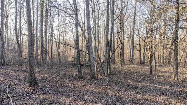 0 Mt Vernon Rd, Bethpage, TN 37022